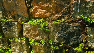 O Guia Definitivo para a Revitalização de Muros e Calçadas em Brasília Pós-Chuvas. Eles são o cartão de visitas da sua casa, mas os primeiros a sofrer com a chuva. Descubra a metodologia da Sublime Limpeza para tratar o limo, as manchas e o escurecimento de pedras rústicas, restaurando o impacto e o valor do seu imóvel. Ao pensar na aparência do nosso lar em Brasília, focamos na fachada principal, no jardim, nos interiores. Mas e o muro que cerca a propriedade? E a calçada que leva até a porta de entrada? Após a intensa temporada de chuvas, essas estruturas